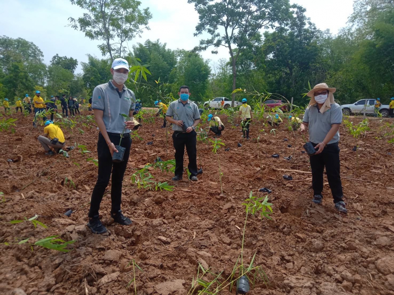 SMS joined the plantation with Bio-compostable nursery bag sms-underline